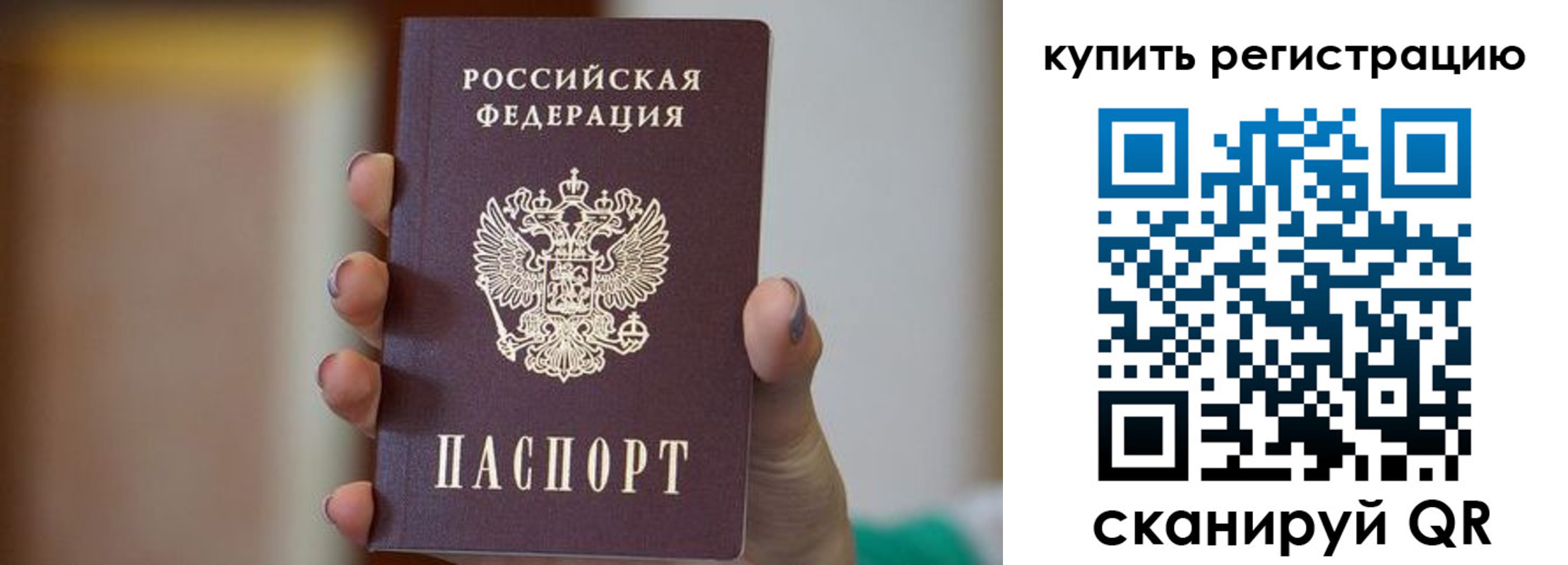 прописка в Щиграх